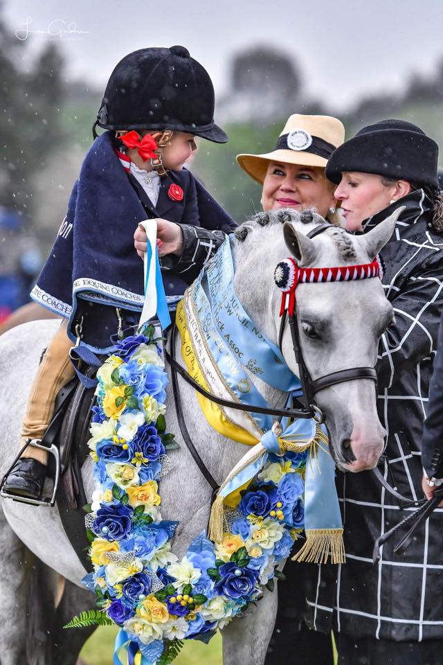 Show Horse Council Australasia - 2018 Show Horse Council Australasia - 2018