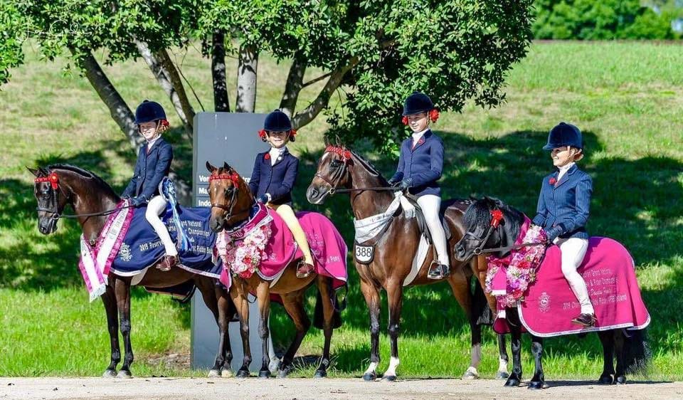 Hufglocken Grand National 2019