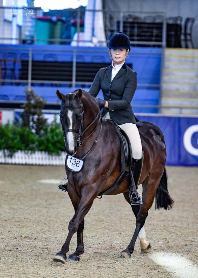 Show Horse Council Australasia - 2018