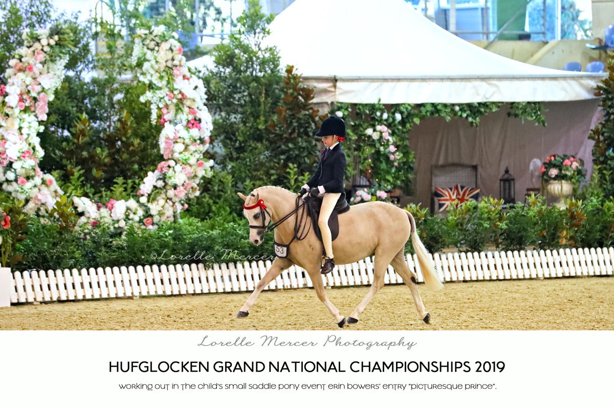 Show Horse Council Australasia 2018