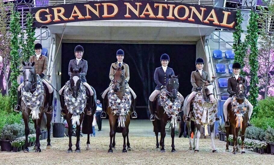 Show Horse Council Australasia 2018 Show Horse Council Australasia 2018