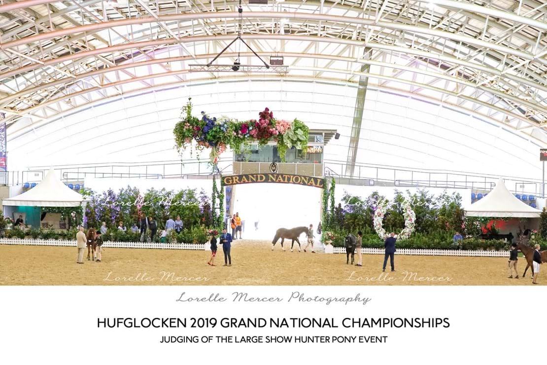 Show Horse Council Australasia 2018 Show Horse Council Australasia 2018