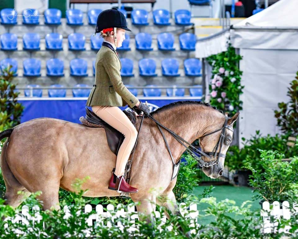 2019 Hufglocken Grand National