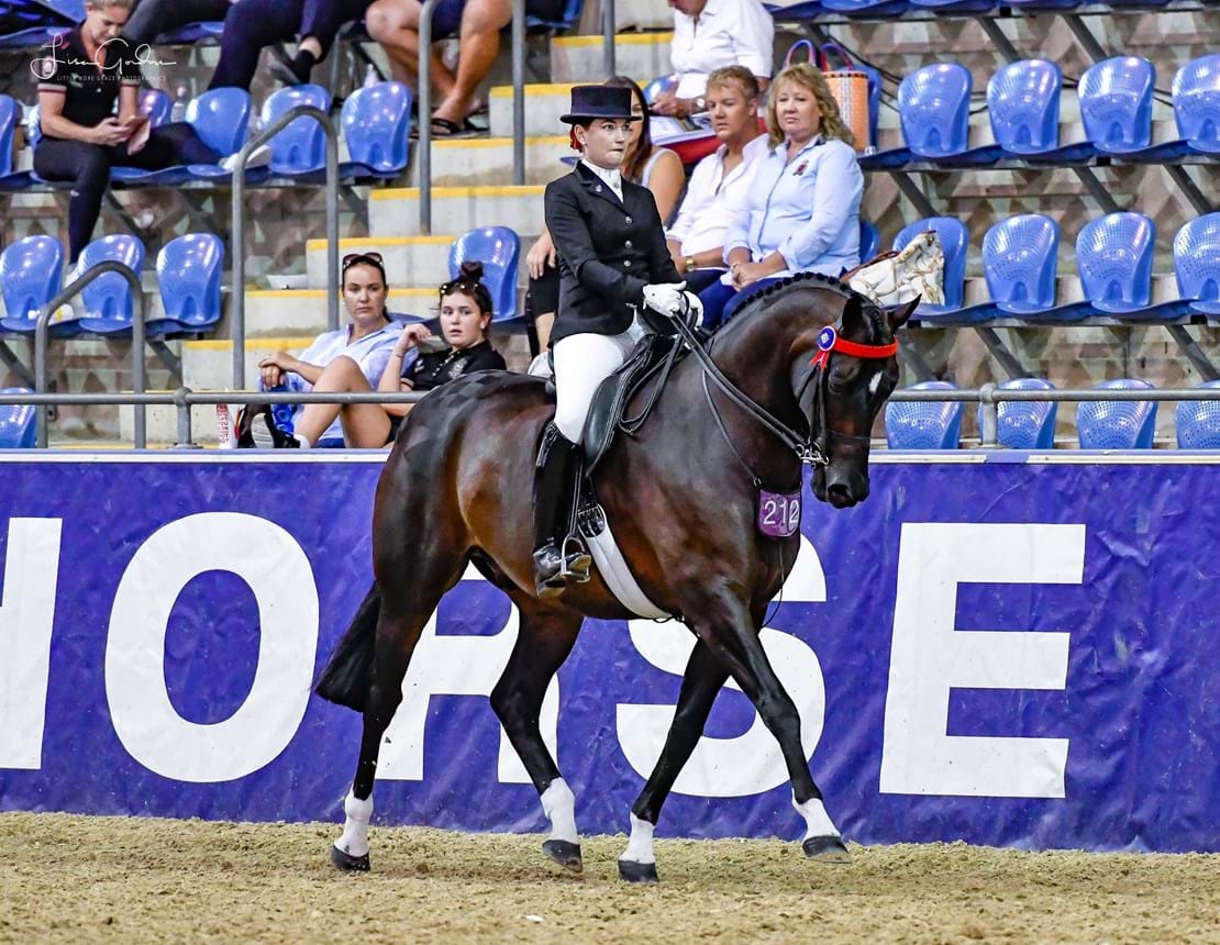 2019 Hufglocken Grand National